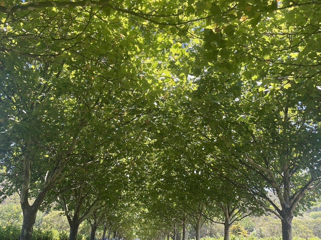 K1 Wines-Kuitpo必去景点