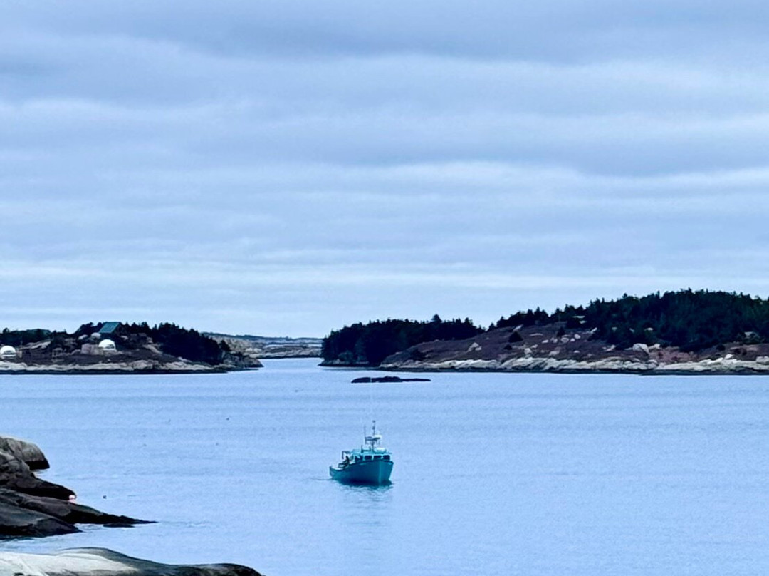 Polly's Cove Hiking Trail景点图片
