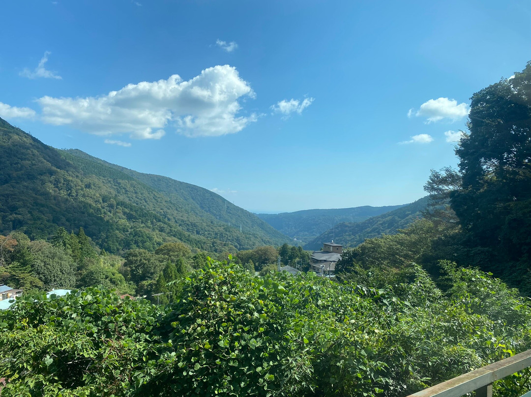 箱根登山电车（箱根登山铁道）-箱根町必去景点