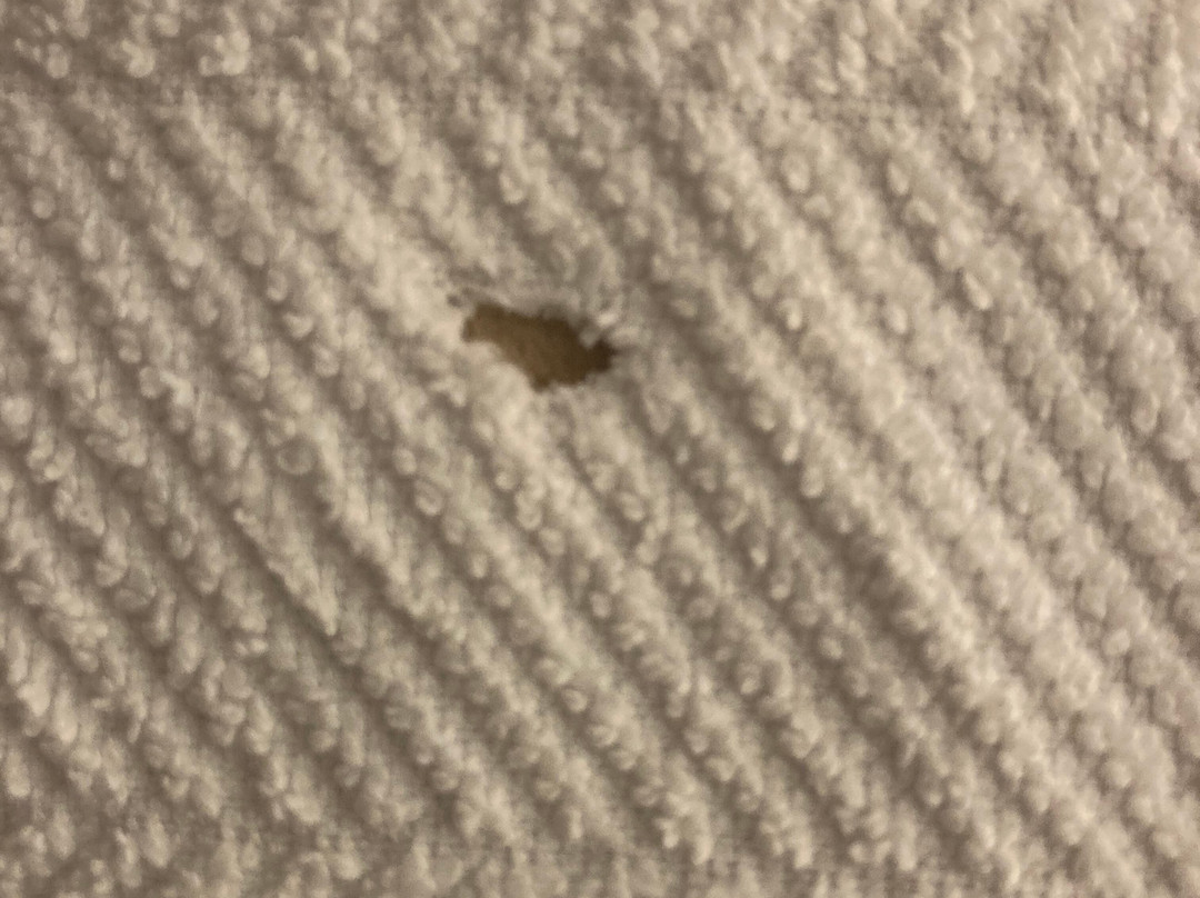 Sheraton Baltimore Washington Airport Hotel - BWI主图