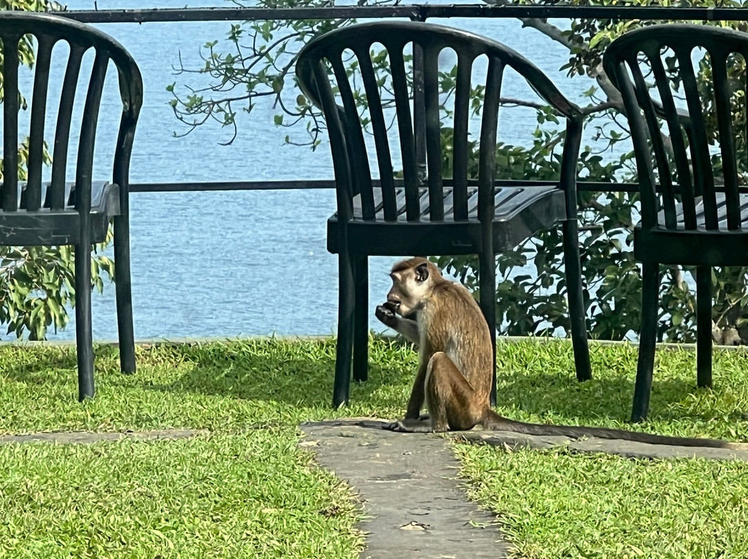 Karunakarala Travels-Waikkal必去景点