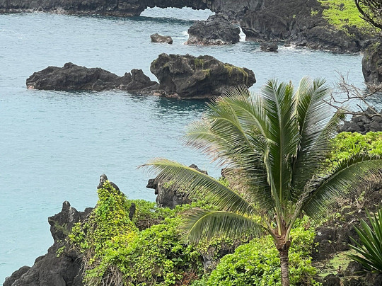 Unique Maui Tours-毛伊岛必去景点