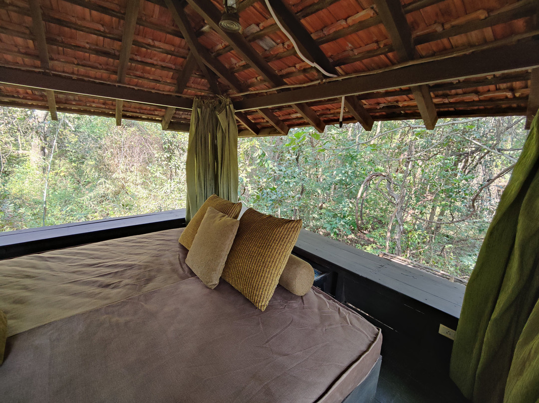 Baghvan, A Taj Safari - Pench National Park主图