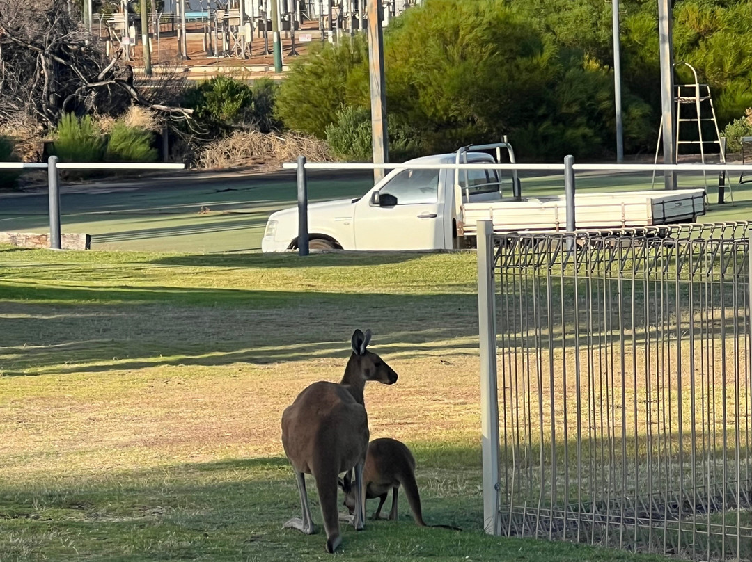 卡尔巴里棕榈度假村主图