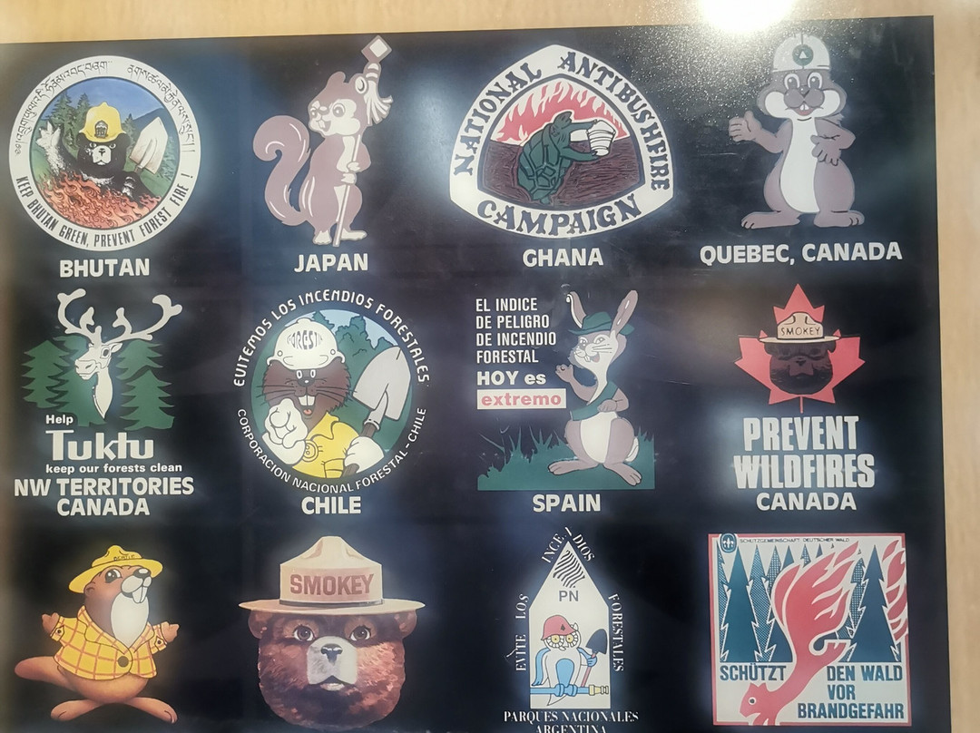 Smokey Bear Museum and Gift Shop-Capitan必去景点