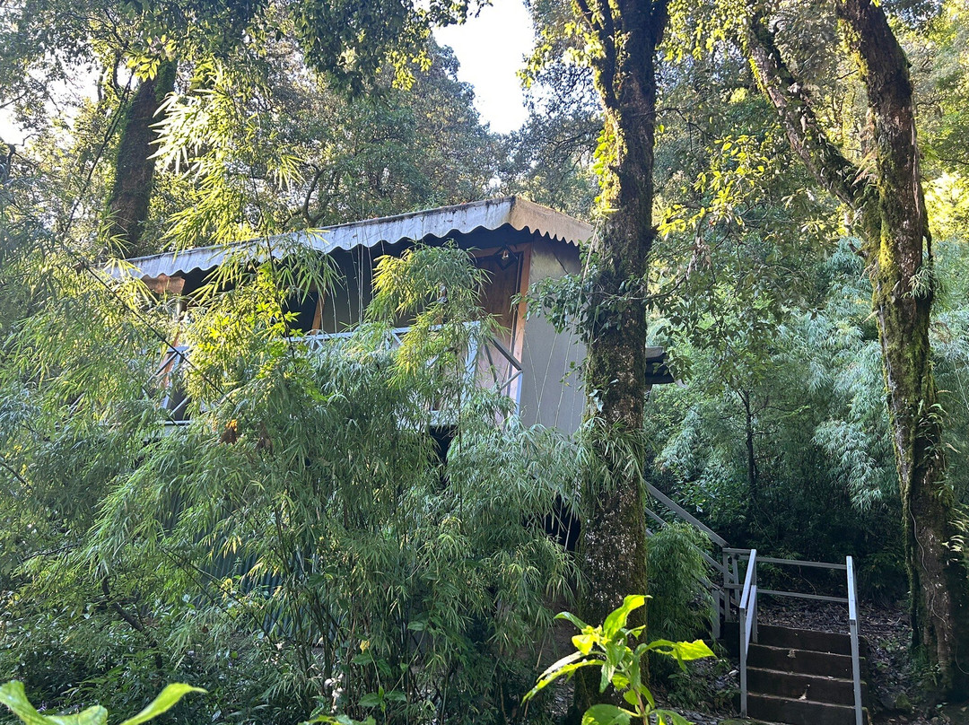 Ayar Jungle Resort主图