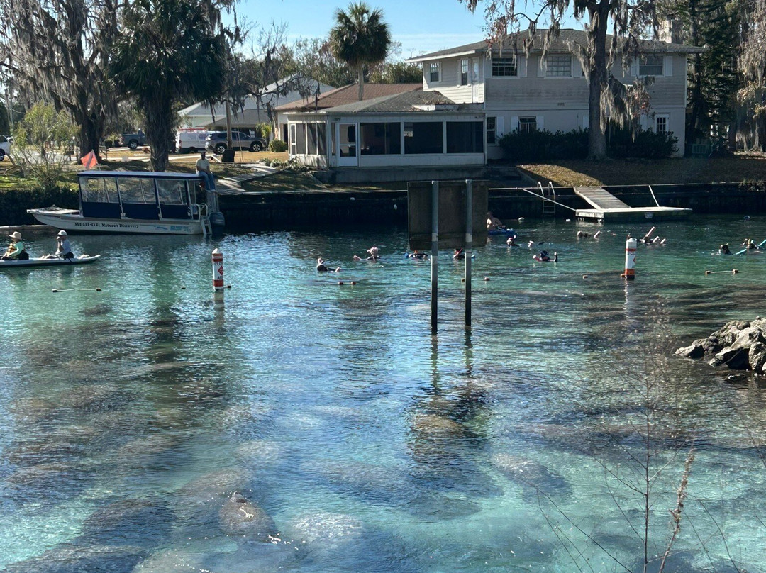 Crystal River National Wildlife Refuge-克里斯特尔里弗必去景点