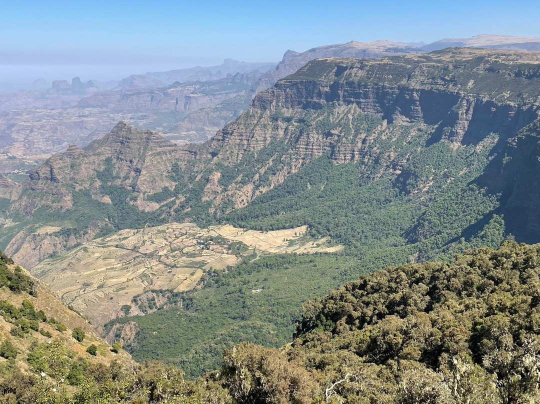Liyu Ethiopia Tours景点图片
