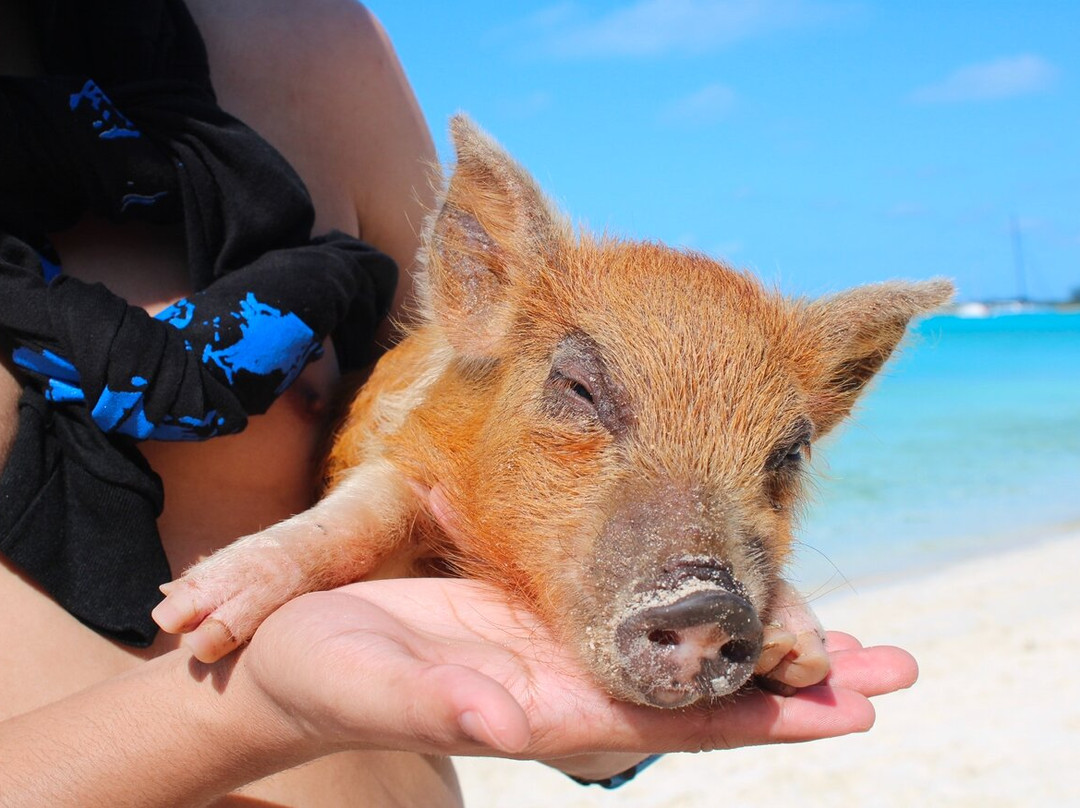 Triple A Adventures-大埃克苏马必去景点