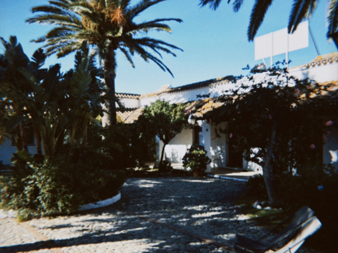 Cortijo Las Piñas主图