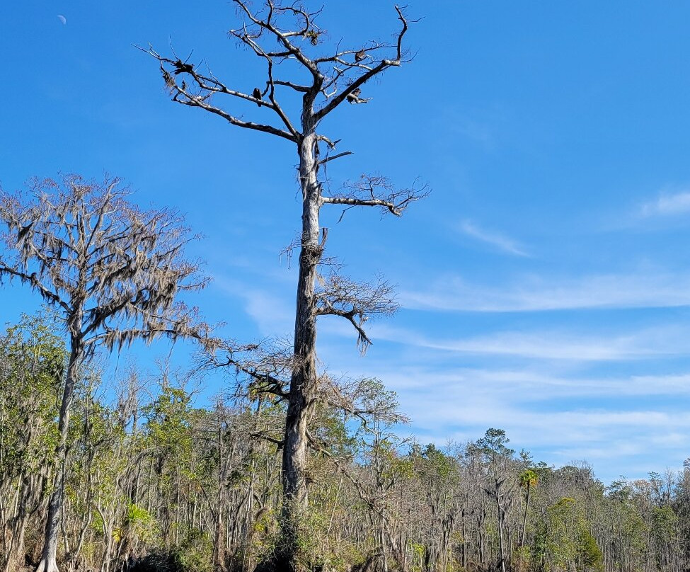 TNT Hideaway Day Tours-Crawfordville必去景点