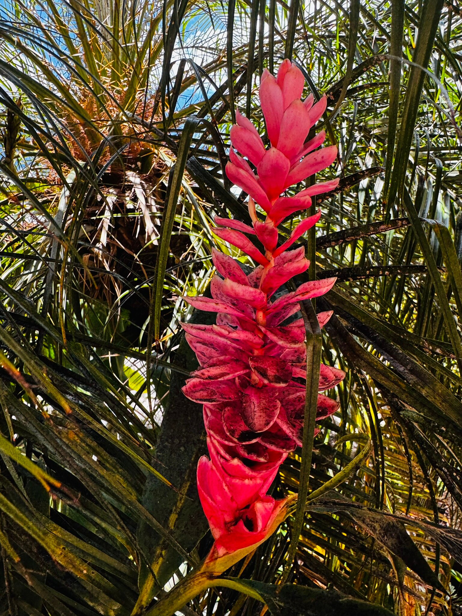 Tauá Resort & Convention Alexânia-浴室