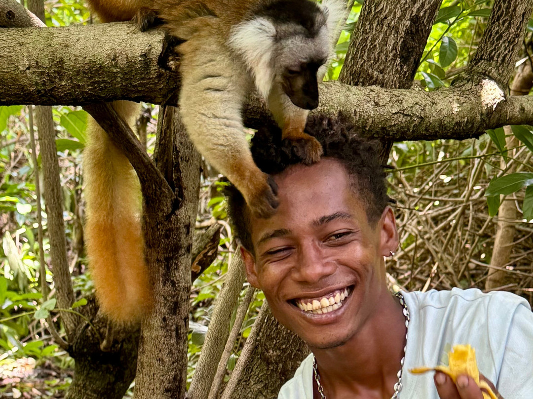 Nosy Be Madagascar Trip景点图片