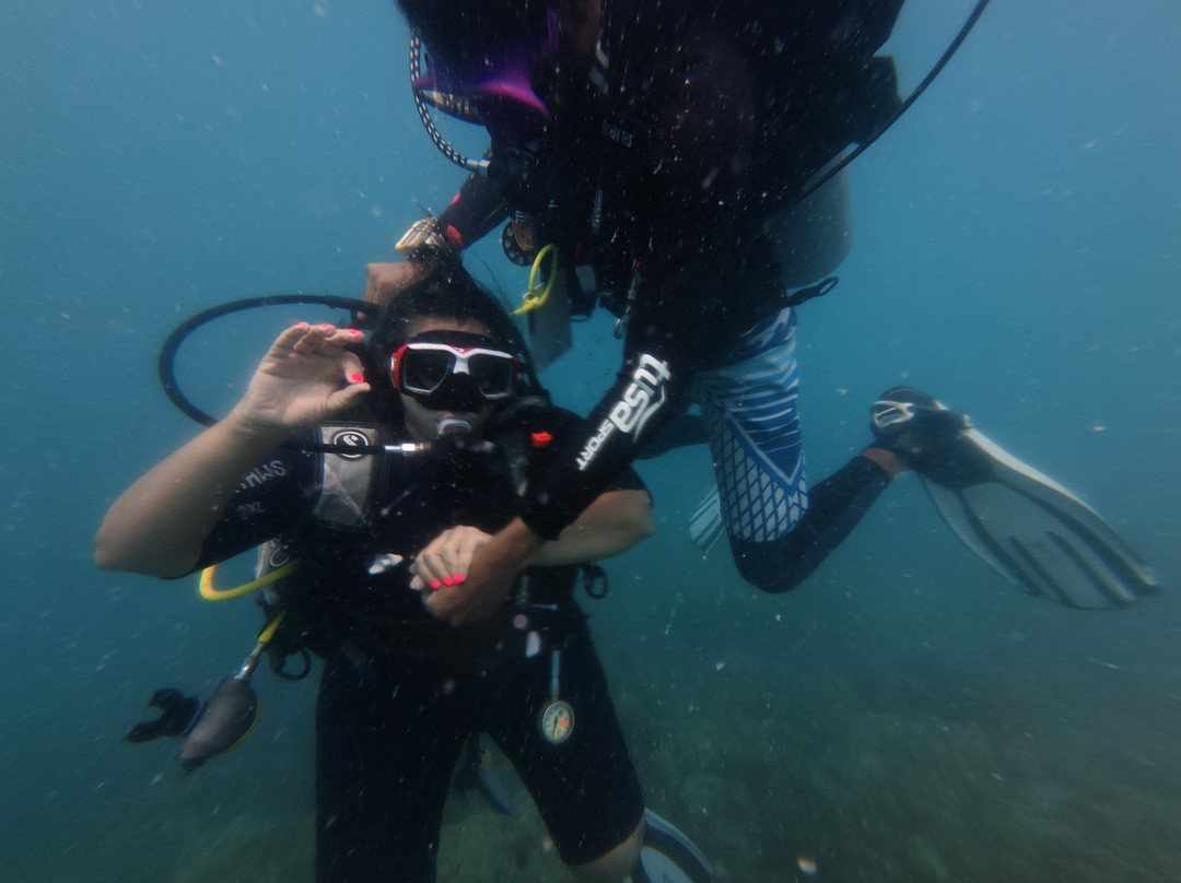 Dive India景点图片