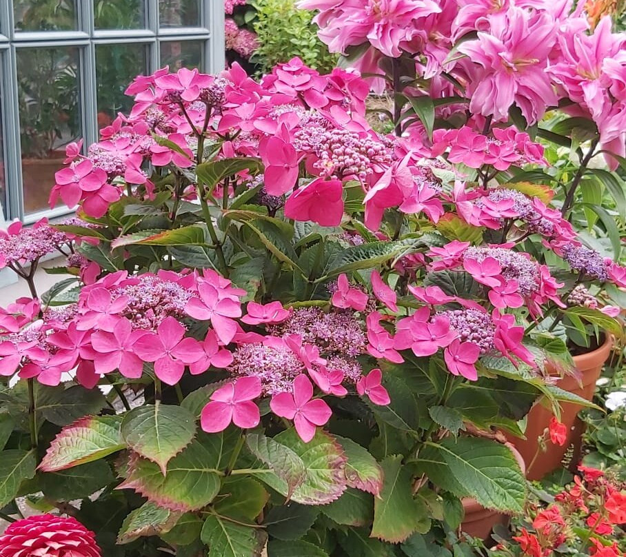 Barratts of Tyn Rhyl主图