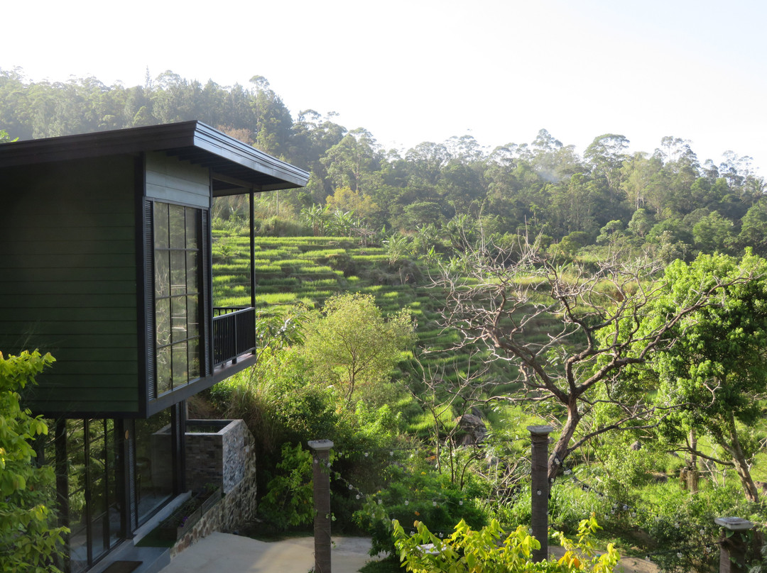 The Capoe House主图