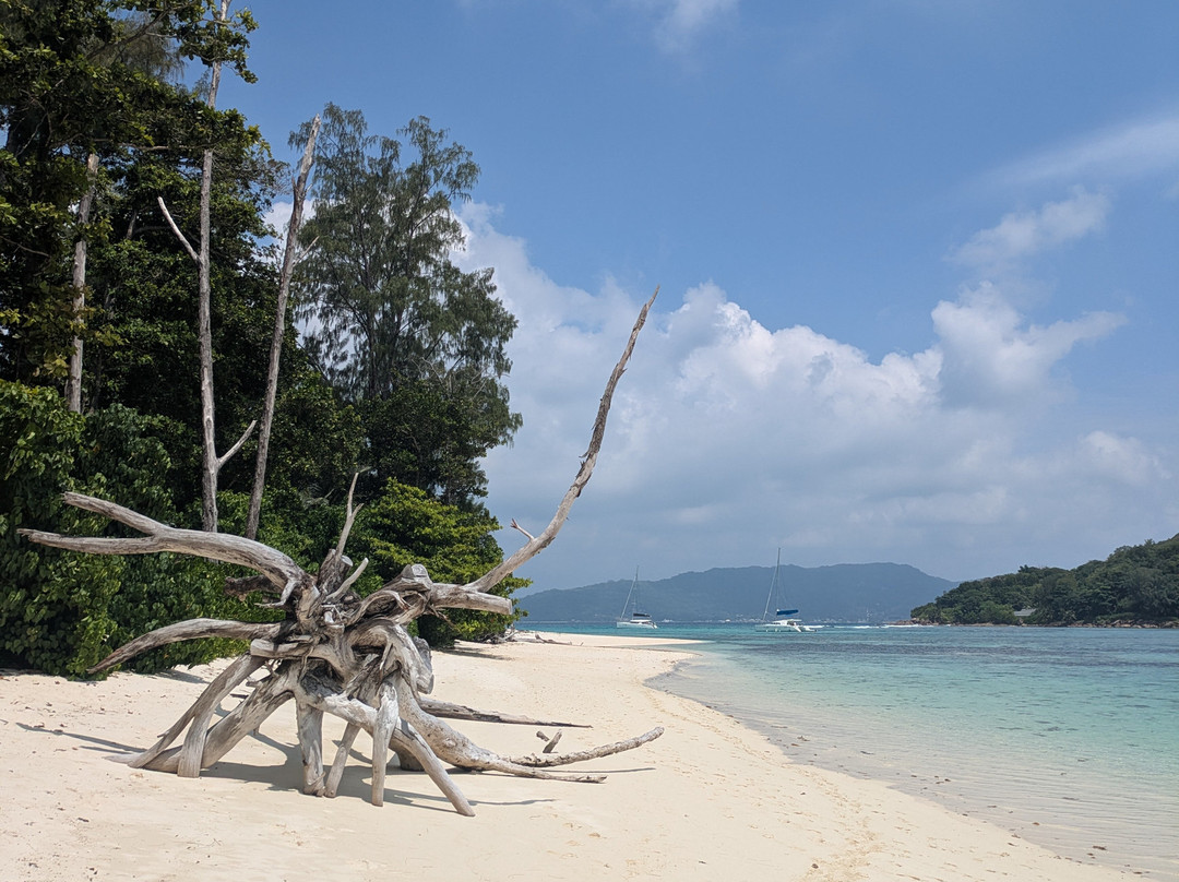 Anse La Farine景点图片