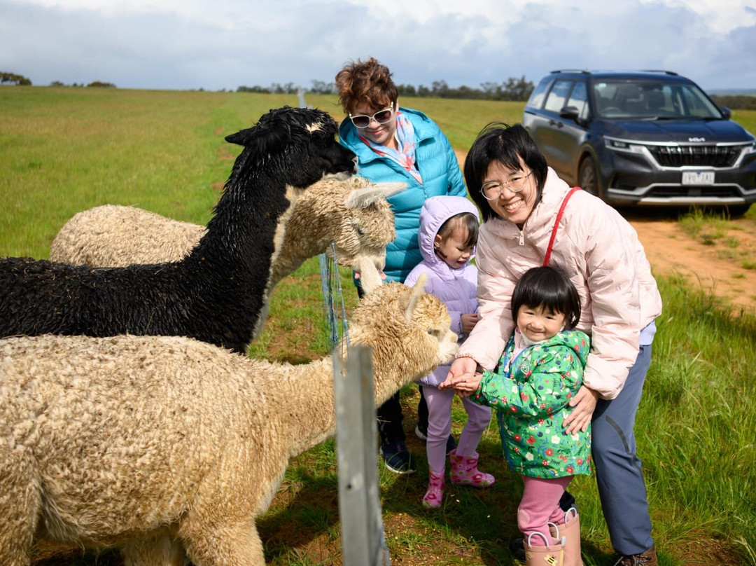 Boshack Farm Perth Day Tours