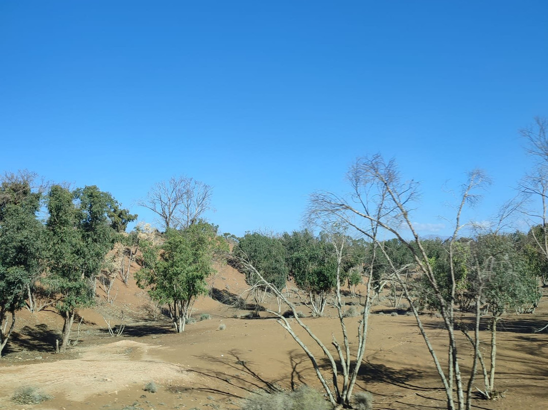 Elik Adventure Quad & Buggy Agadir-阿加迪尔必去景点