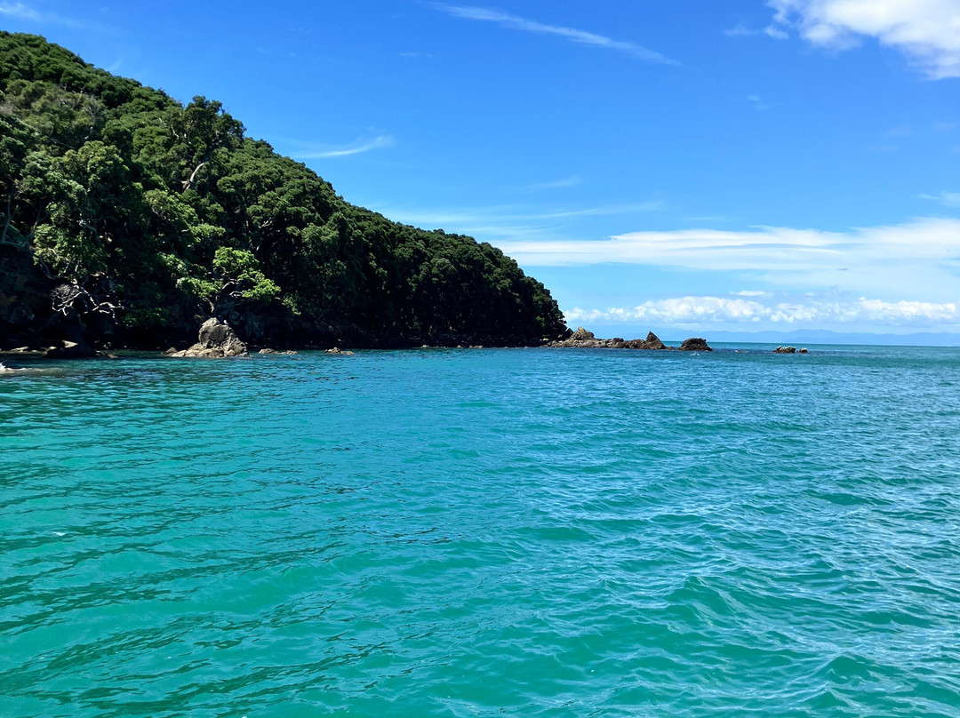 Moutohora Island Sanctuary (Whale Island) - Day Tour-法卡塔尼必去景点