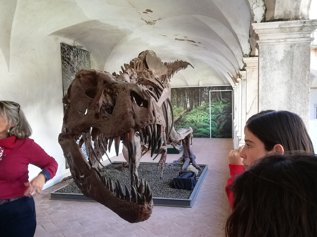 Centro Ciencia Viva de Estremoz景点图片