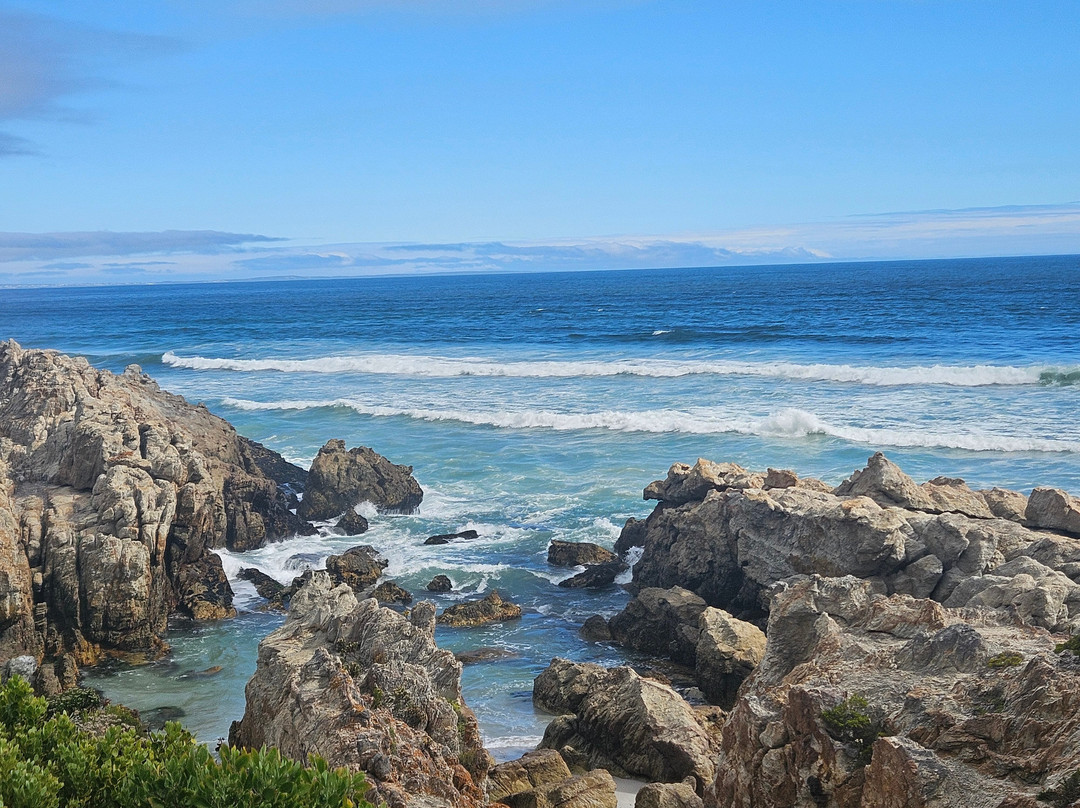 Hermanus Cliff Path-赫曼努斯必去景点