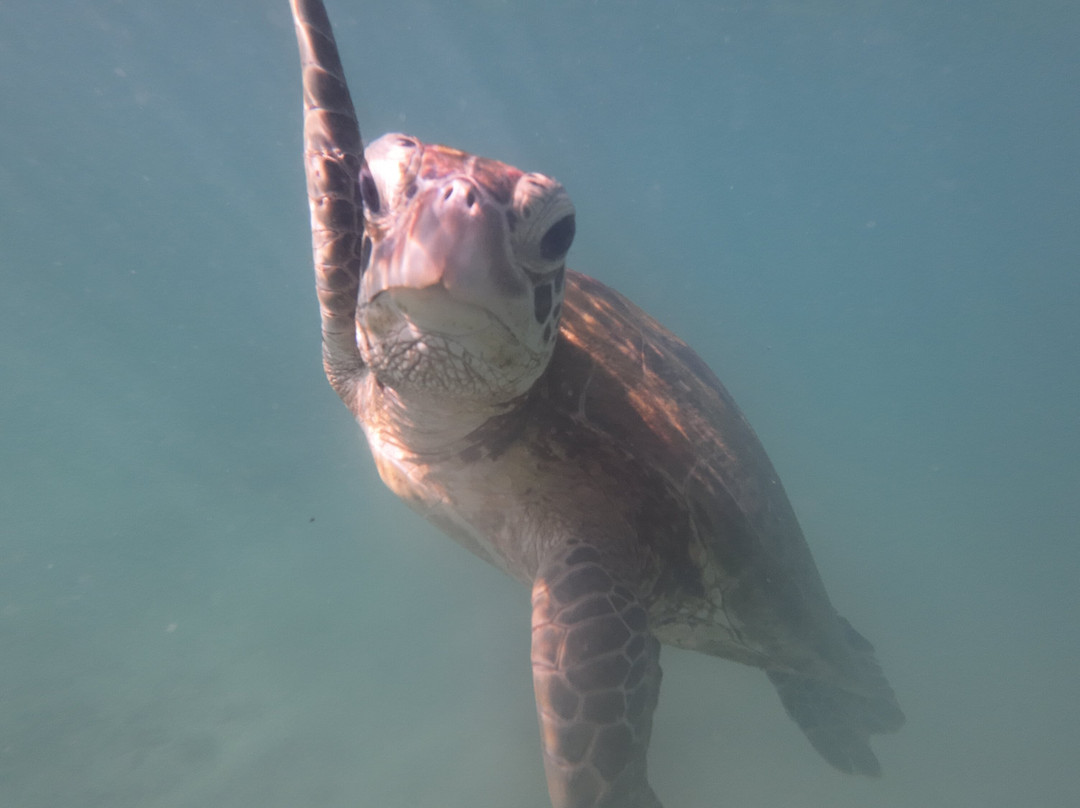 Roshan Tours And Travels Sri Lanka-班达拉维拉必去景点