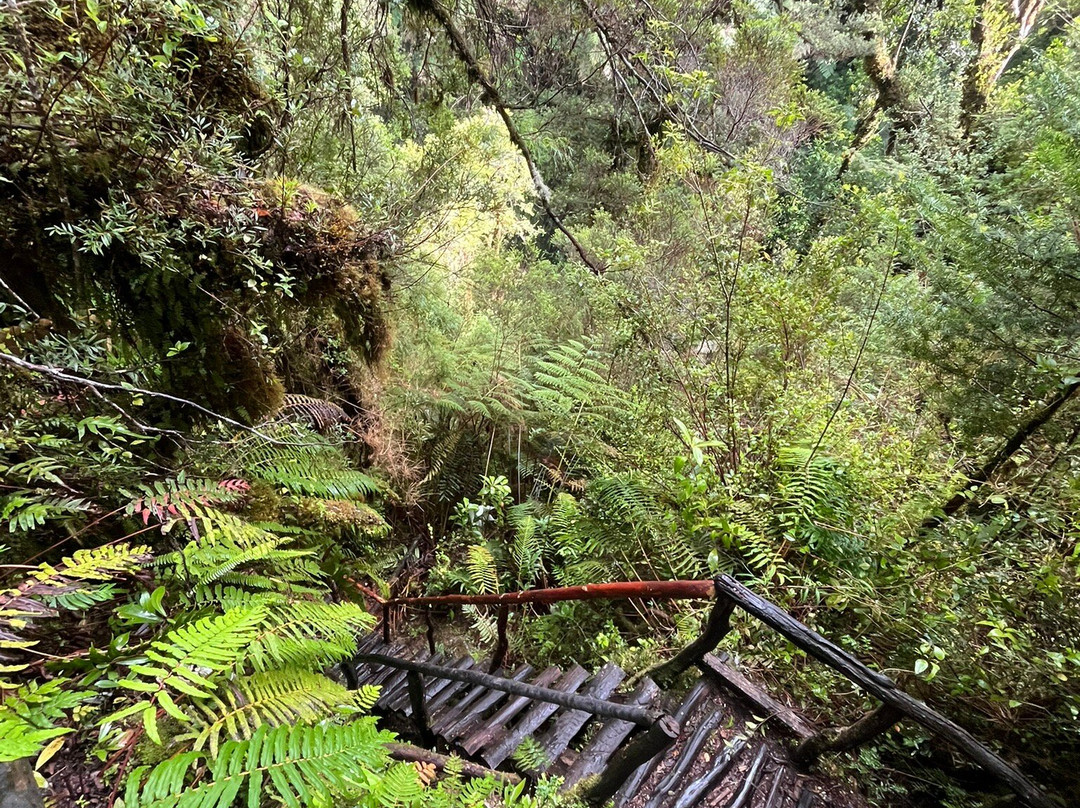 Parque Pumalin-Chaiten必去景点