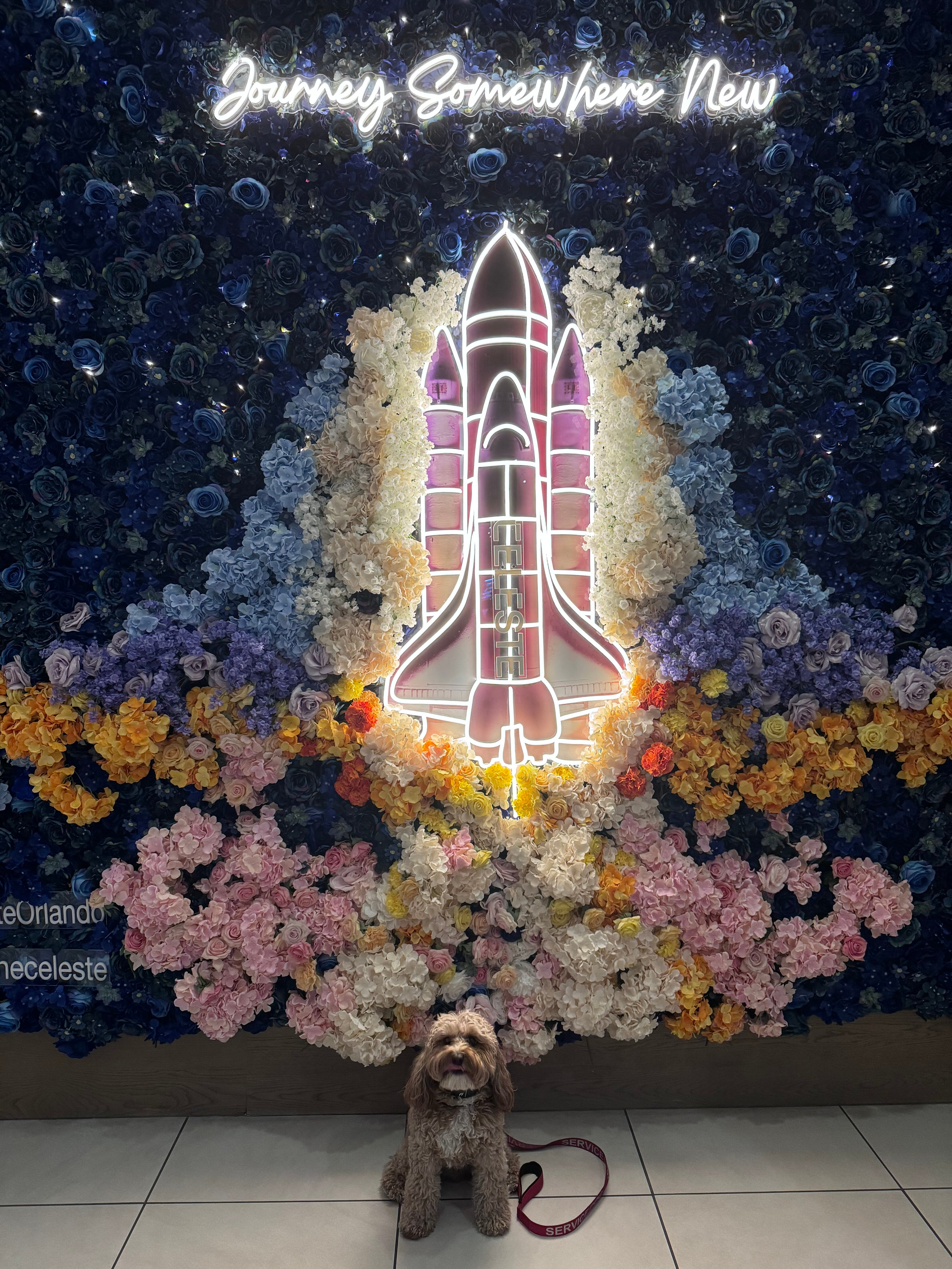 The Celeste Hotel, Orlando, A Tribute Portfolio Hotel-浴室