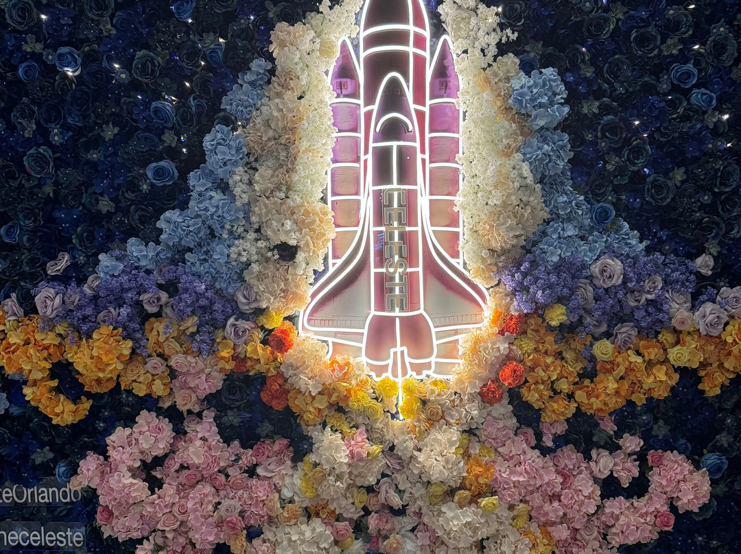 The Celeste Hotel, Orlando, A Tribute Portfolio Hotel主图