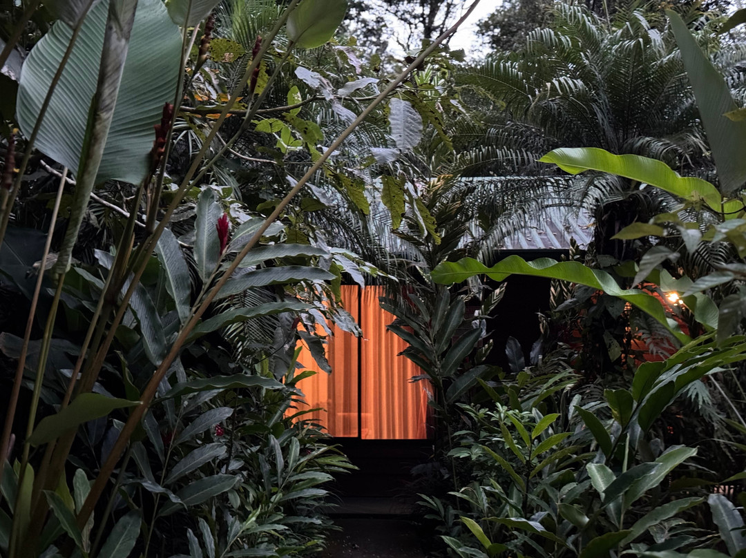 Hotel San Rafael Ecolodge主图