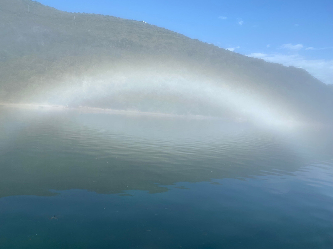 Knysna Houseboats-克尼斯纳必去景点
