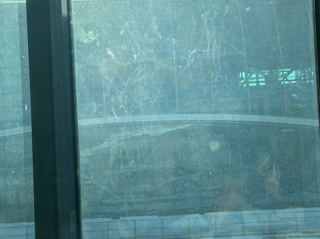 Maxima Domodedovo Airport Hotel主图