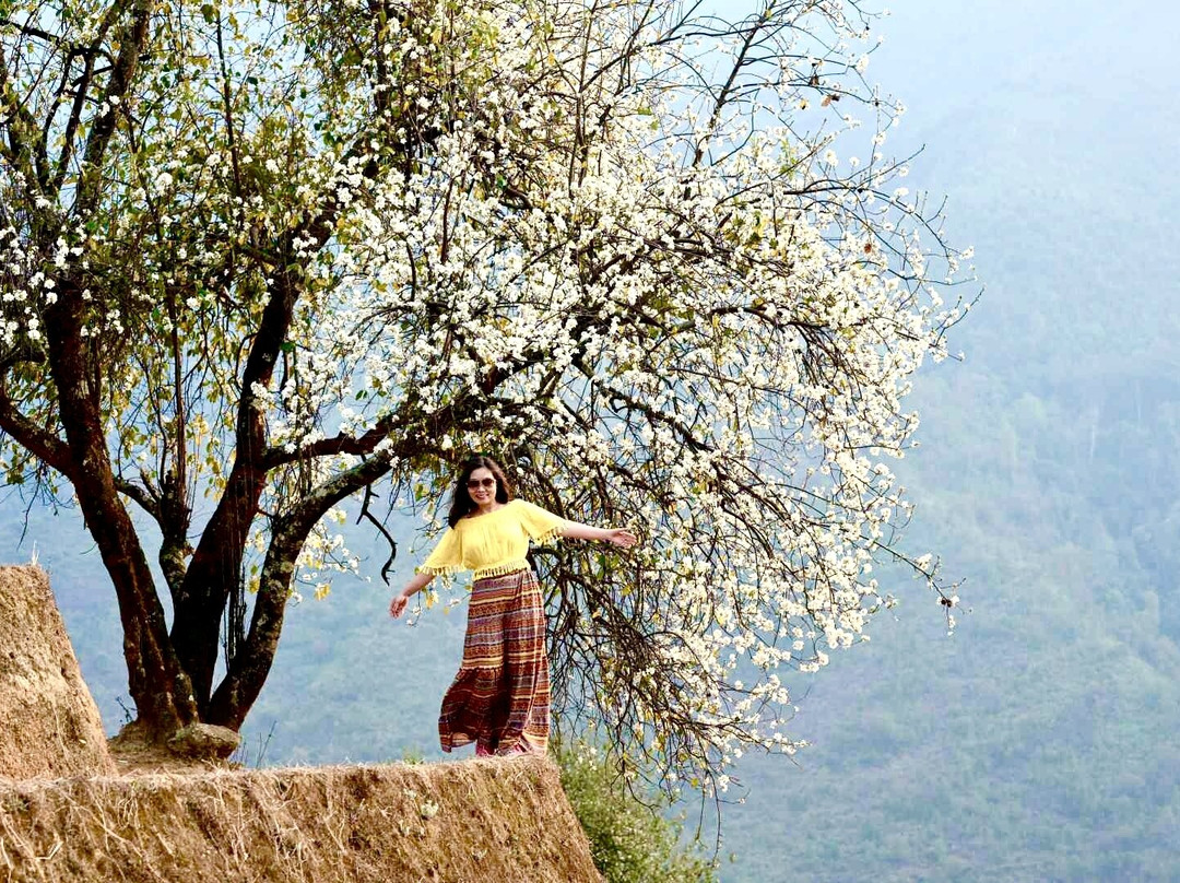 Bản Nậm Nghiệp景点图片