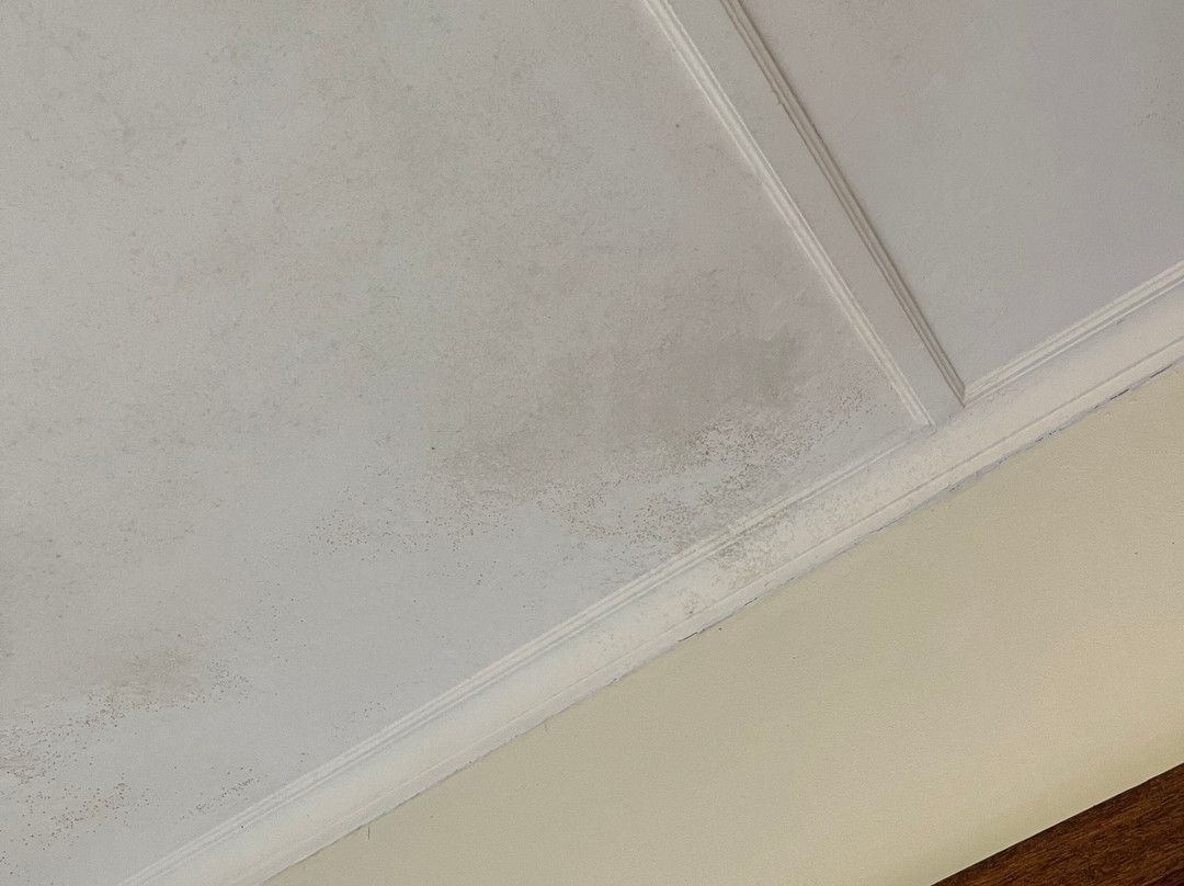 The Dormie House主图