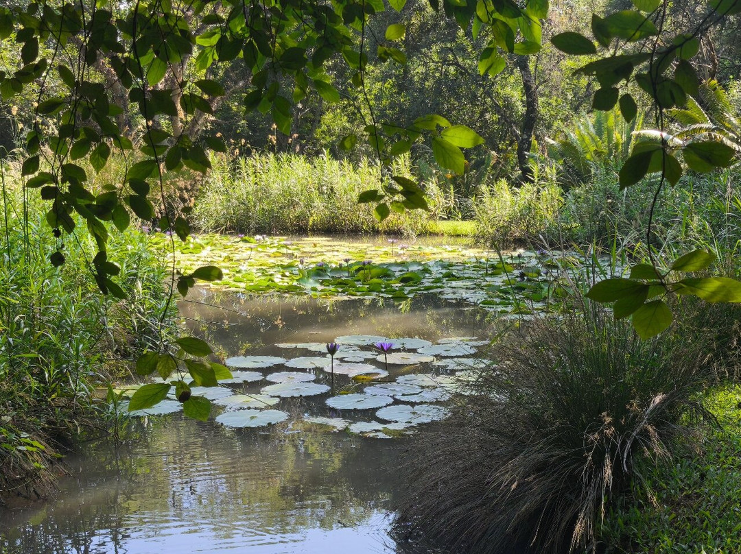 Lowveld National Botanical Garden-尼斯普鲁特必去景点