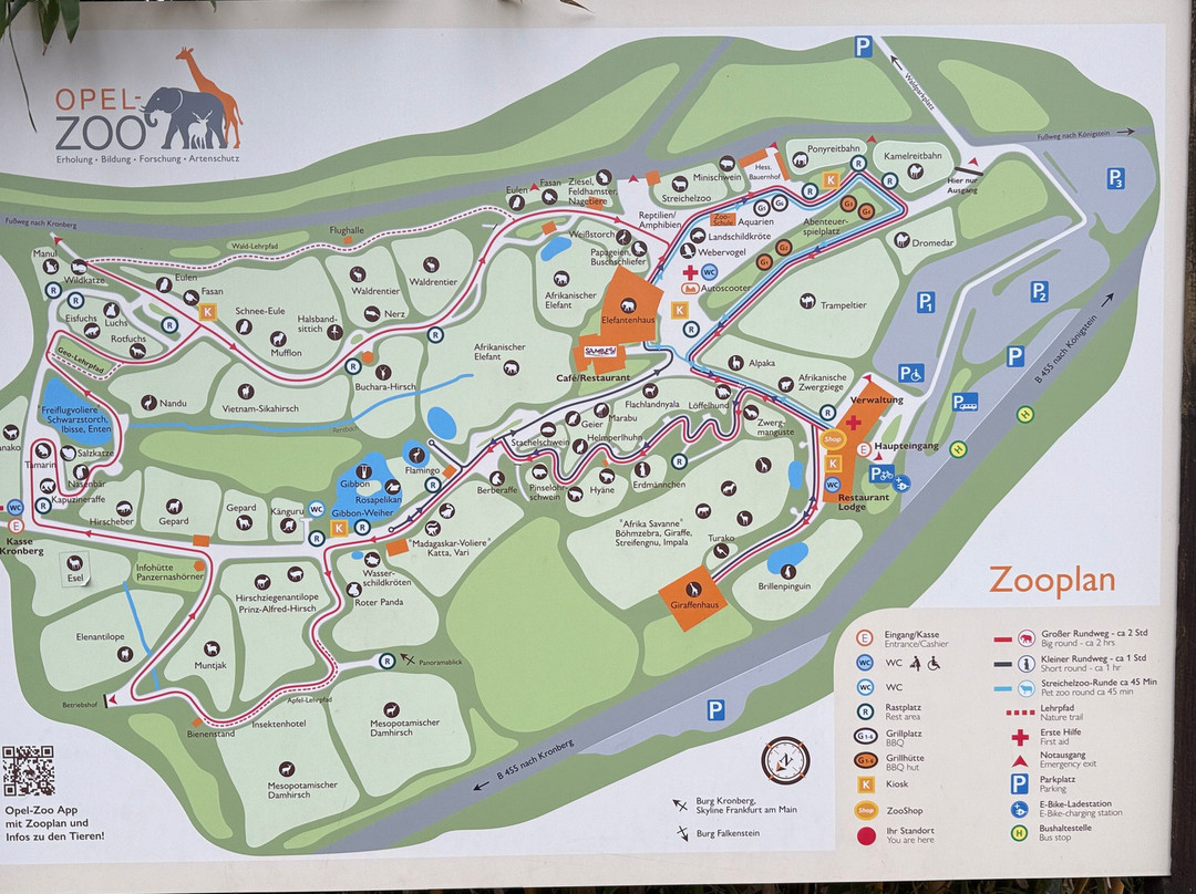 Opel Zoo-陶努斯山区克龙贝格必去景点