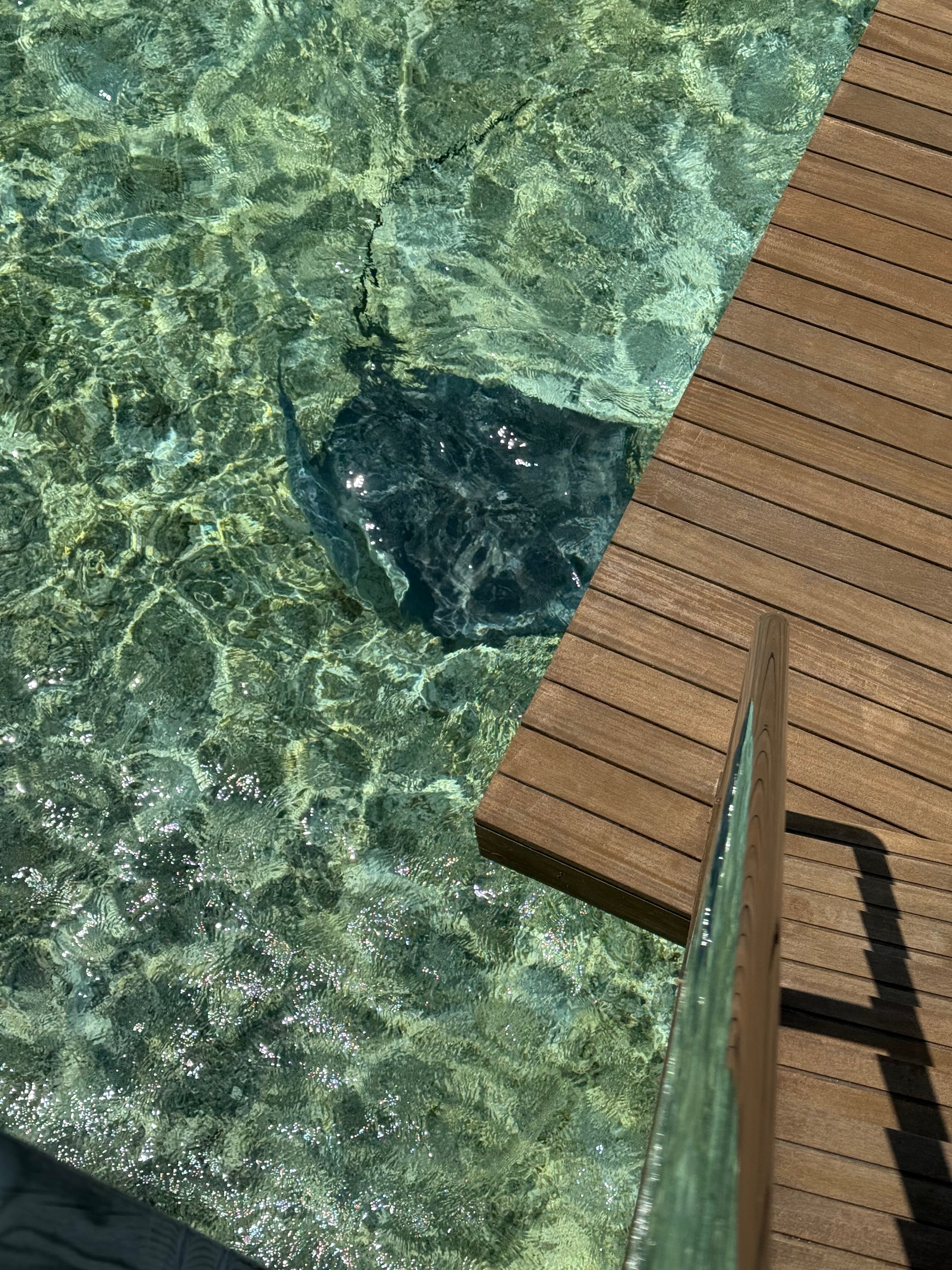 The Ritz-Carlton Maldives, Fari Islands-客卧