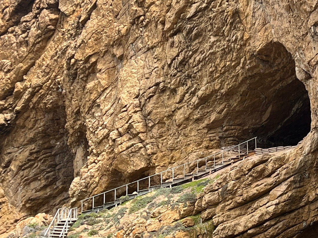 Point of Human Origins-莫塞尔贝必去景点