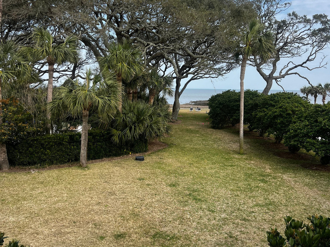 The Beachview Club主图