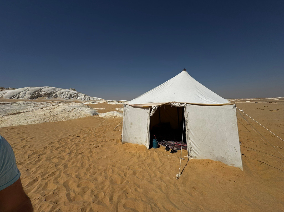 Bahariya Oasis Desert-Bahariya Oasis必去景点