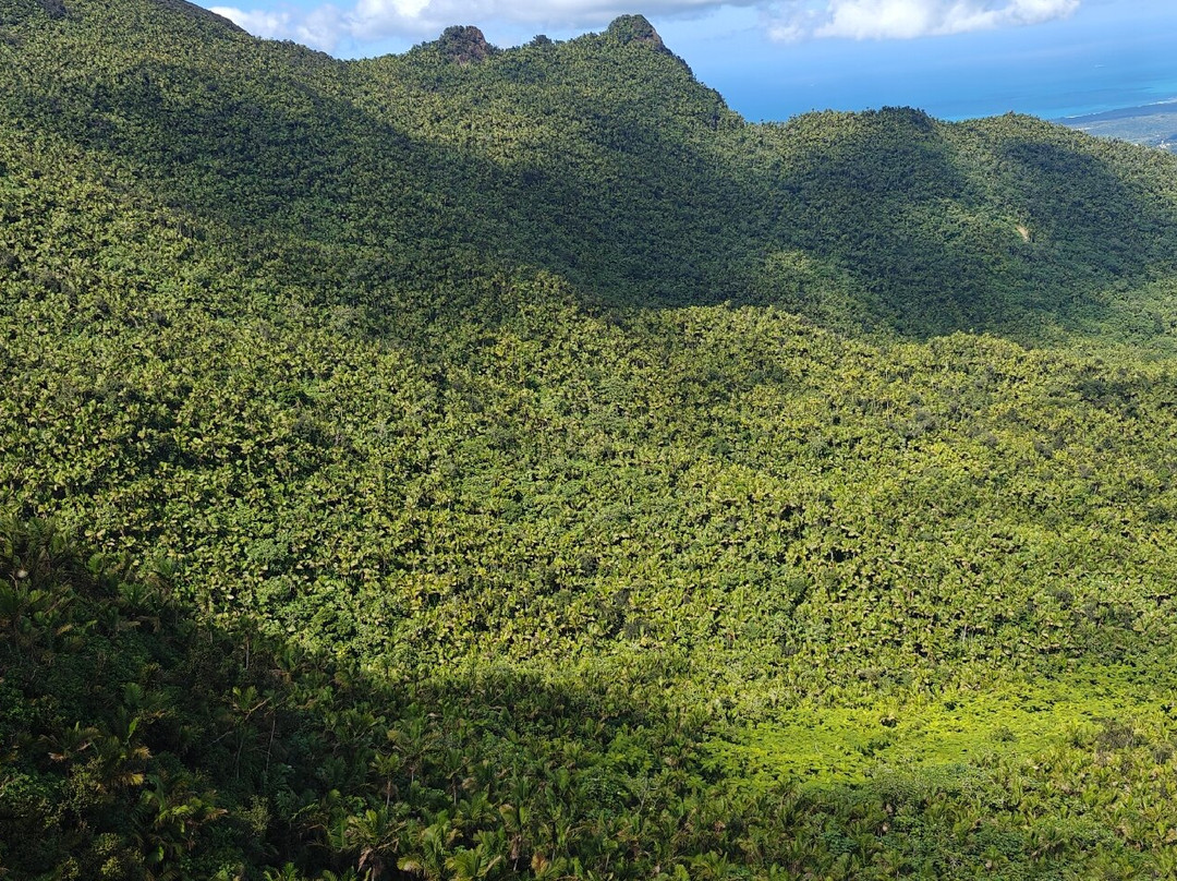 Mt. Britton Lookout Tower-Rio Grande必去景点