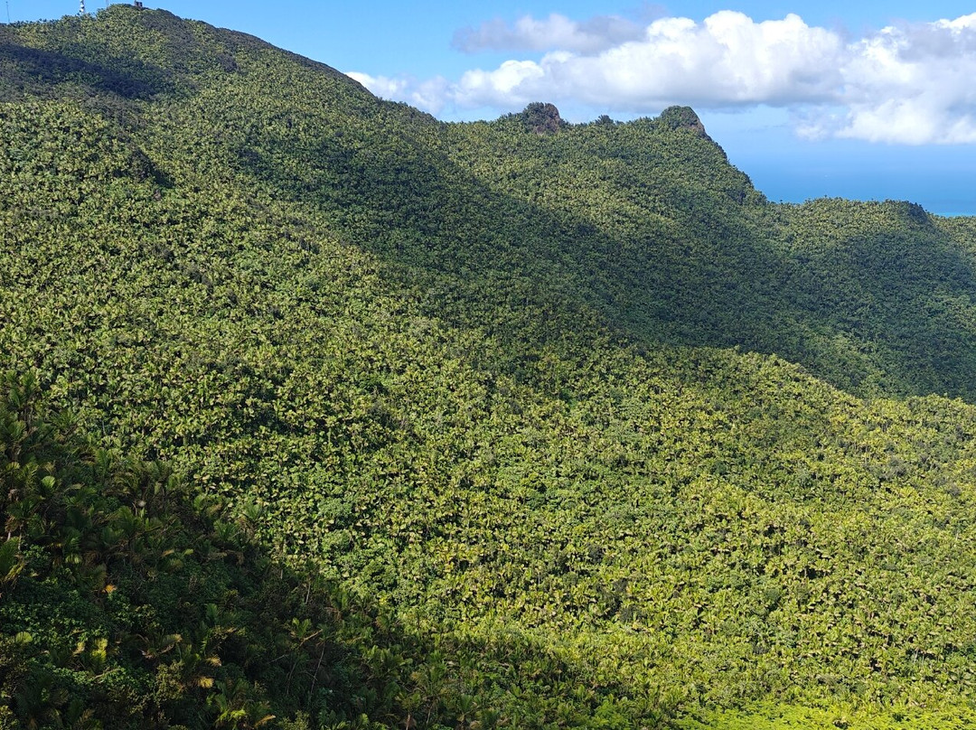 Mt. Britton Lookout Tower-Rio Grande必去景点