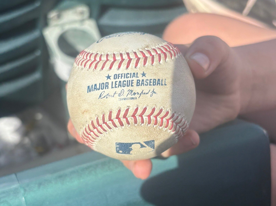 Goodyear Ballpark-嘉年必去景点