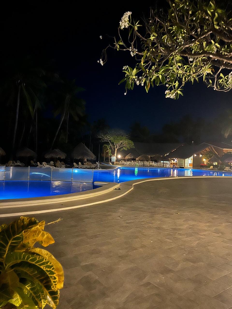 Occidental Tamarindo-泳池
