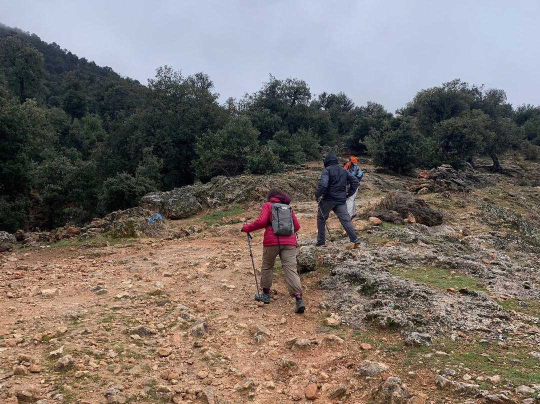 Jari Reda-Azrou必去景点