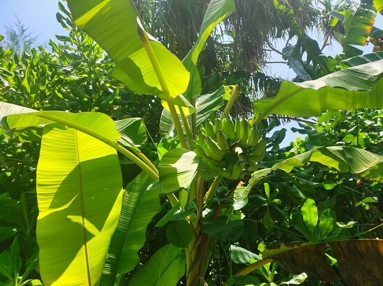 Pullman Maldives All-Inclusive Resort主图