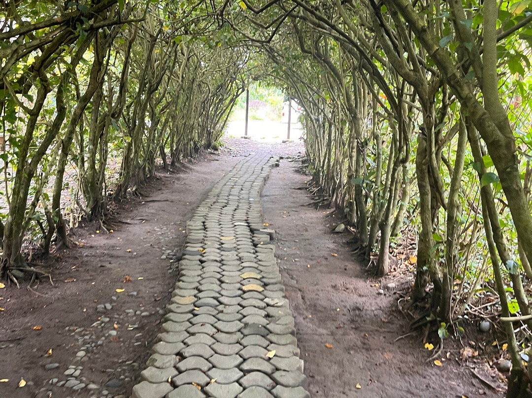 Raft Amazonia-Tena必去景点