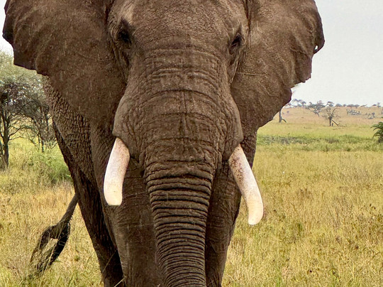 Mawe African Ventures-阿鲁沙必去景点