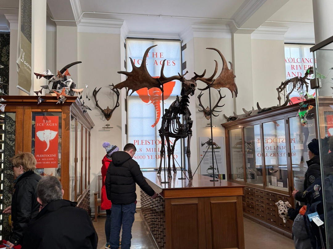 Sedgwick Museum of Earth Sciences-剑桥必去景点